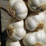 garlic-on-a-string