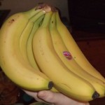 cavendish_banana