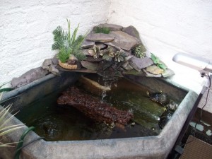 indoor pond