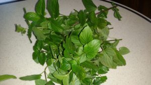 freshly gathered herbs