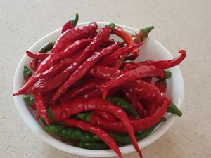 fresh chili from the garden